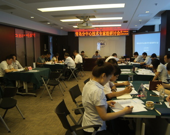 青岛分中心组织召开技术能力平台专家研讨会